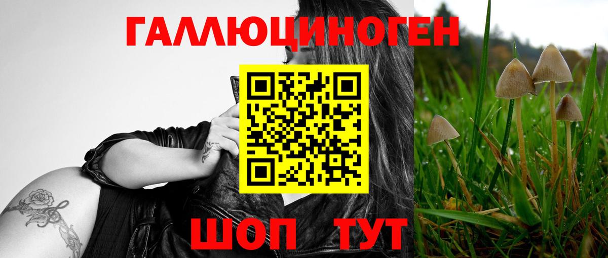 купить наркотик  Вход с VPN  Вольск  Псилоцибиновые грибы мухоморы 
